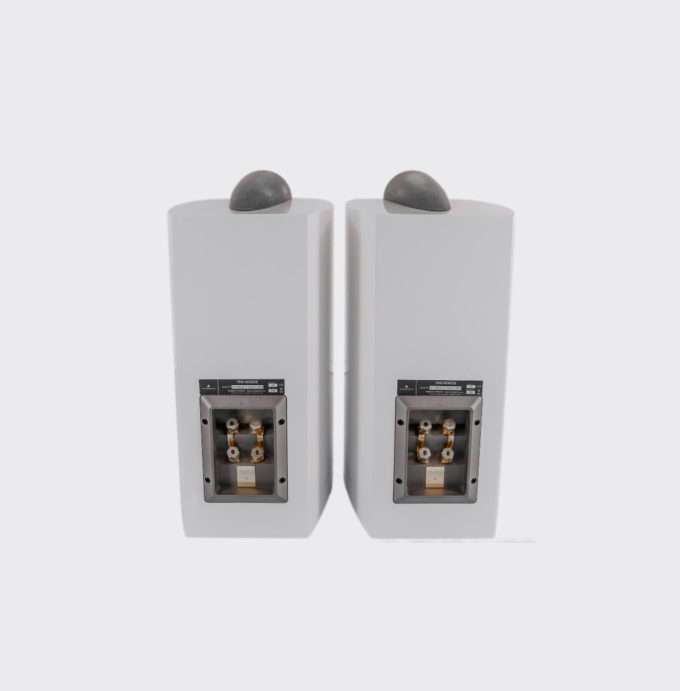 Triangle Genese Trio