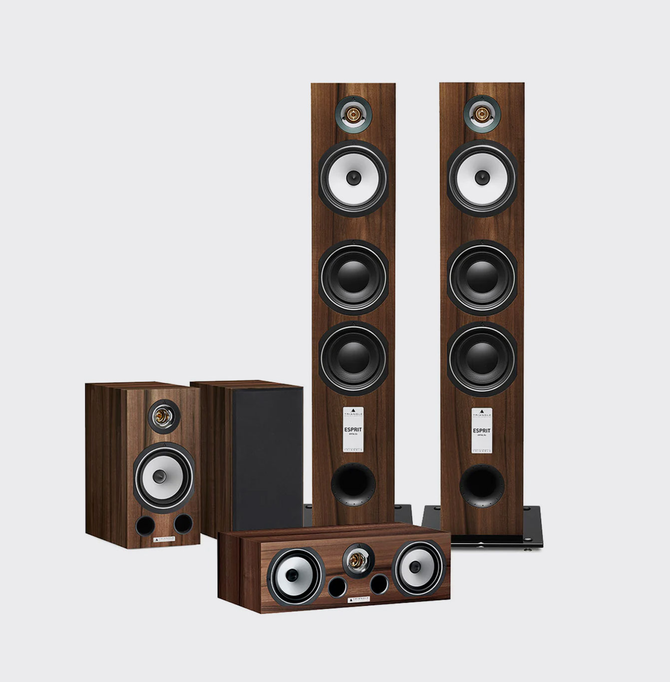 Triangle Pack 5.0 Antal EZ Chestnut