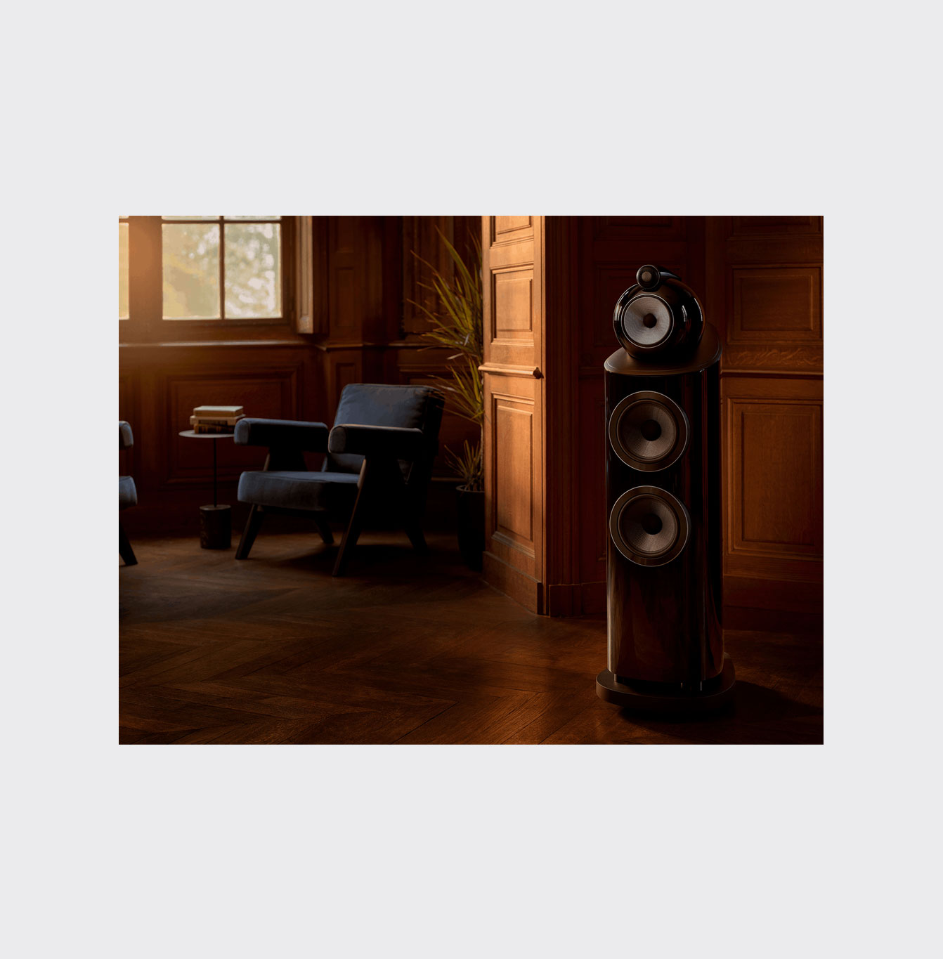 Bowers & Wilkins 803 D5